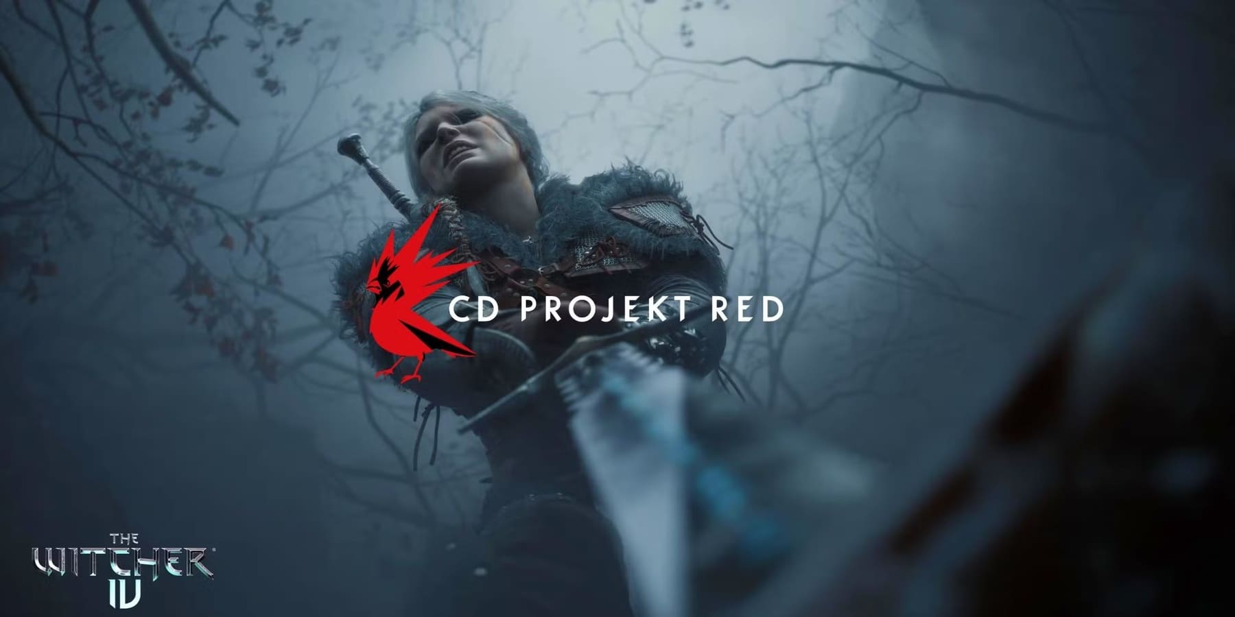 CD Projekt Red розкрила нові деталі про відкритий світ The Witcher 4