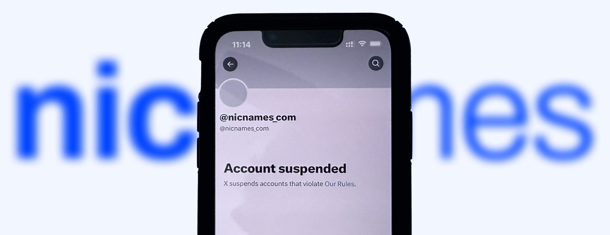 X без пояснень заблокувала NicNames.com, яка інвестувала понад $10 000 у платформу