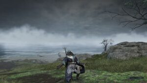 Як виразити емоції в Elden Ring Nightreign