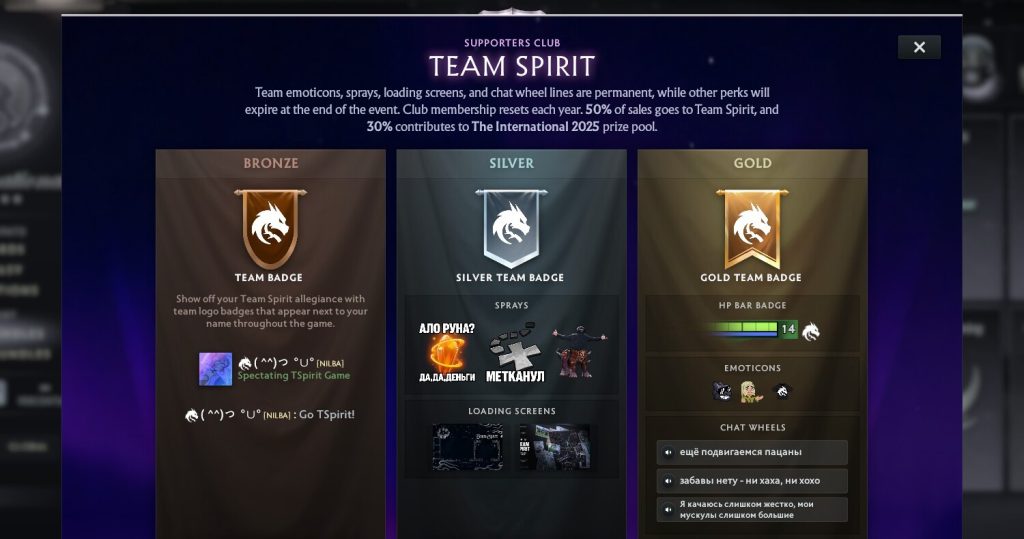 Пакети підтримки для Team Spirit.