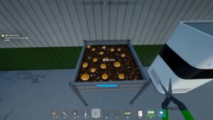 Як отримати доступ до грибів у Графіку 1